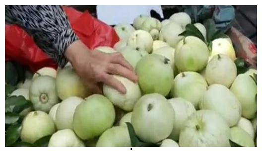 甜瓜概念爆料视频大全,揭秘热门甜瓜背后的故事  第2张